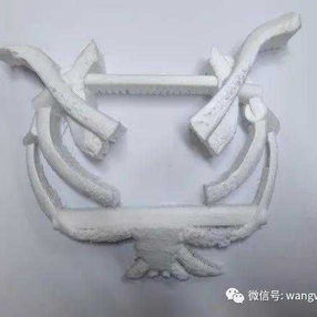 三维模型模拟手术切除部位