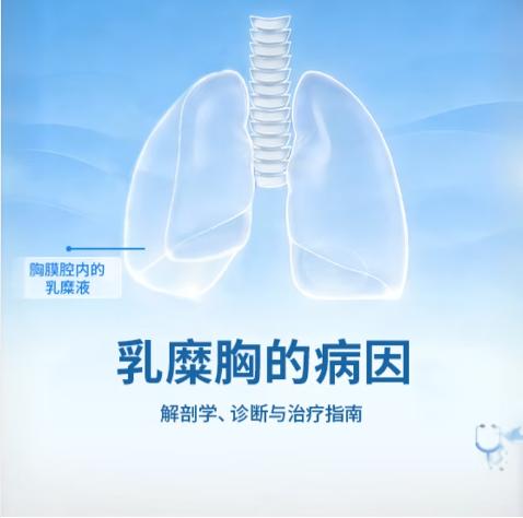 乳糜胸的病因